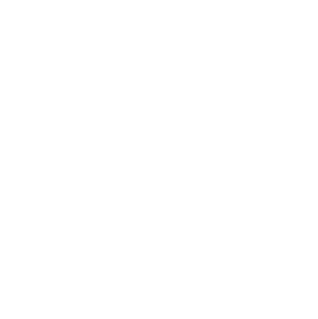 BMF AI Security Graphic